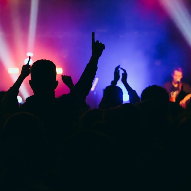 people enjoying music at a concert